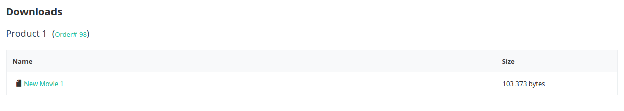 The "Downloads" page lists all the files available to the customer.